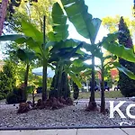 Korona מלון שיופוק