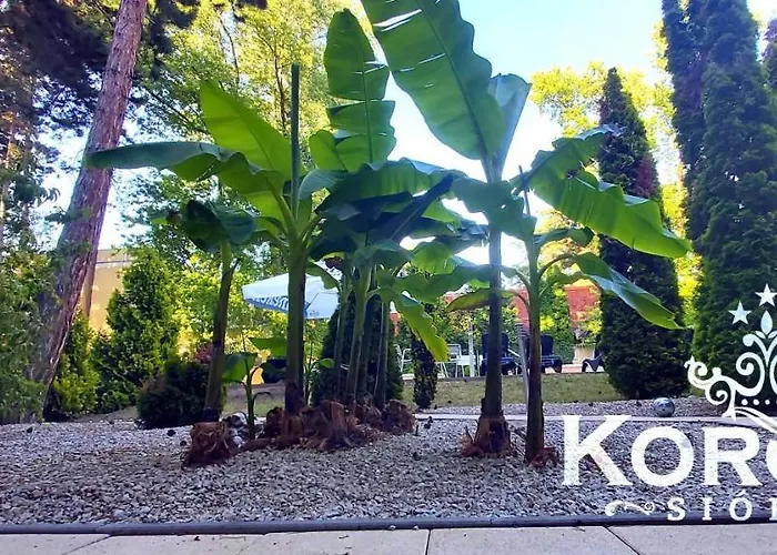 Korona Hotel Siófok